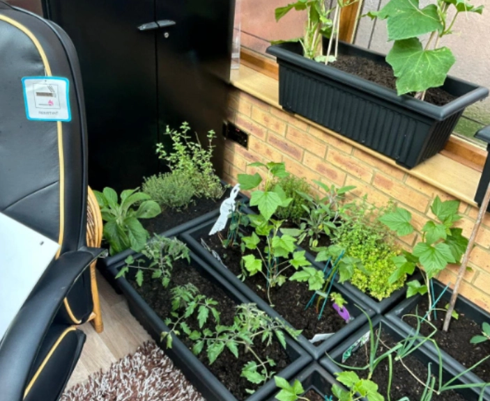 Samsons Academy - Bedford